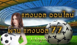 พนันบอล77